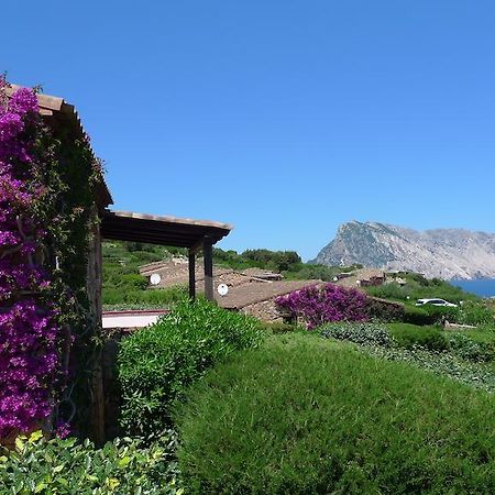 Casa Molara Villa San Teodoro  Oda fotoğraf