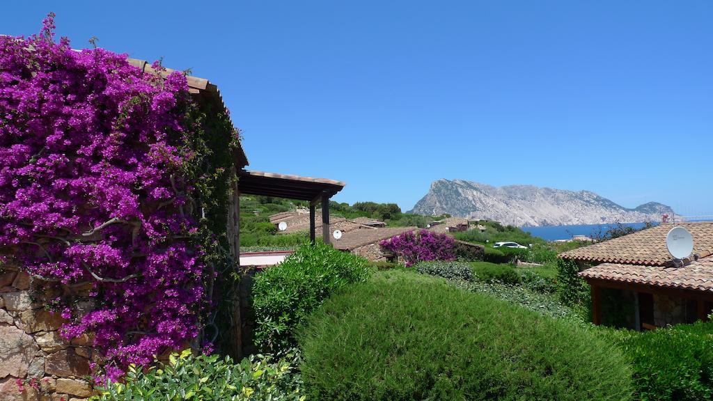 Casa Molara Villa San Teodoro  Oda fotoğraf